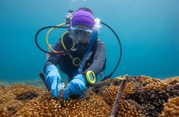 Decolonizing ocean science means ensuring local capacity is recognized and supported and local priorities guide what science is funded and implemented. Photo: Ana Endara, STRI. 