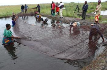 women in zambia