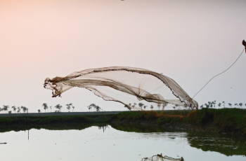 Virtual Dialogues on the Road to the 34th Committee on Fisheries: Illuminating Hidden Harvest Virtual Dialogues on the Road to the 34th Committee on Fisheries: Illuminating Hidden Harvest