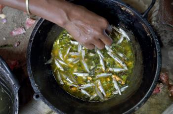 A woman cooking mola and orange sweet potato curry in her kitchen in Jessore, Bangladesh. Photo by M. Yousuf Tushar.