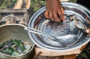 Mozambique tilapia is simmered with cabbage and coconut milk, Taflankwasa village, Malaita Province, Solomon Islands. Photo by Filip Milovac.