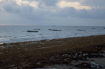 Freetown, Sierra Leone. Photo by Sharon Suri, WorldFish.