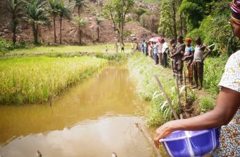 Beneficiaries participating in an integrated rice-agriculture training in Sierra Leone. Photo by Monica Pasqualino.