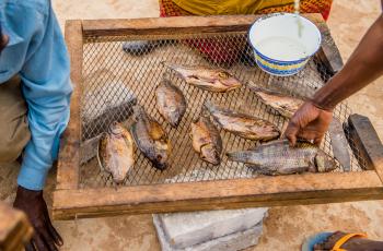 Smoked fish, Zambia. Photo by Chosa Mweemba.