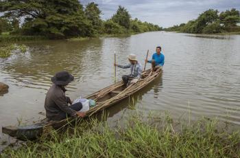 2023 FAO Science And Innovation Forum: Science and Innovation for Climate Action