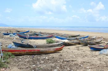 Paddle canoe fleet on Timor-Leste’s south coast. Adarai, Viqueque. Photo by Alex Tilley, WorldFish.
