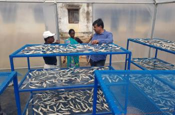 WorldFish's Arun Padiyar with workers and fish farmers. Photo by WorldFish.
