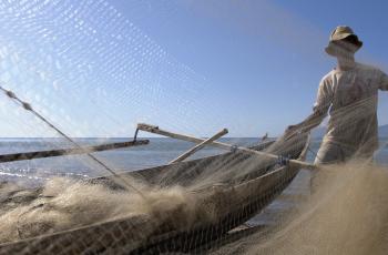 Nets. Photo by WorldFish.