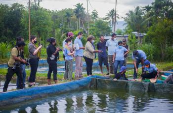 Hatchery and WorldFish Staff illustrate the process of collecting eggs from broodstock fish in Leohitu PPP hatchery during the USAID and MFAT site visit on 23-24 November 2021. Photo by Shandy Santos, WorldFish.