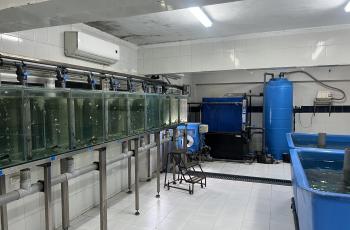 Skretting R&D facility in Abbassa, date 24 March, 22. Photo by Ahmed Nasr-Allah, WorldFish Egypt