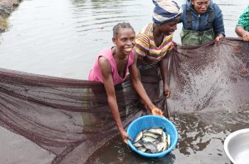 Showing off fish. Photo by Agness Chileya, WorldFish.