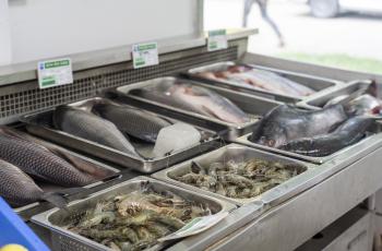 WorldFish, Apon Wellbeing improve RMG workers’ nutritional status. Photo by WorldFish.