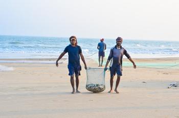 Marine fishers carry their catch at Odisha. Photo by SK Dubey, WorldFish.