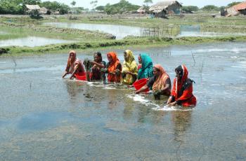 Women in aquaculture, Bangladesh. Photo by WorldFish.