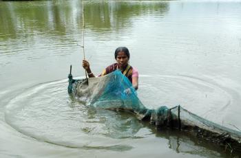 Woman fencing a pond, Bangladesh. Photo by WorldFish.