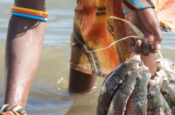 Front cover / Lake Turkana Washing Fish. Photo by Patrick Dugan, WorldFish.