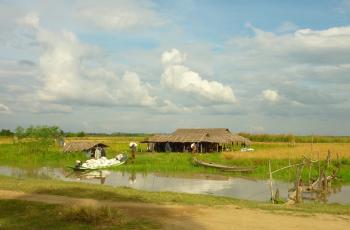 Wetland, Ayeyarwadi delta in Myanmar. Photo by Eric Baran.