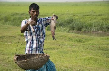 A fish trader in Sunamganj, Bangladesh. Photo by Finn Thilsted.