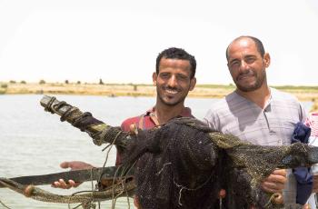 Fish farmers ready to net their pond in Fayoum, Egypt. Photo by Heba El Begawi.