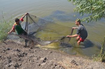 SEC Training Program: SEC’s 81st Aquaculture Program on Overwintering of Tilapia Fingerlings