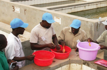 Aquaculture Africa Magazine Focus: Central Laboratory for Aquaculture Research (CLAR)