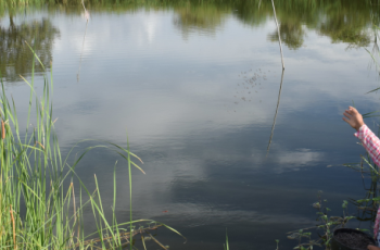 The Big Fish Series: Is aquaculture breaking into the global food system