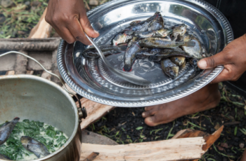 Transforming food systems with aquatic foods: Access to sustainable, safe and nutritious food for all