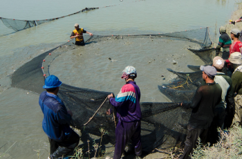 Aquaculture in Tunisia - and much more!