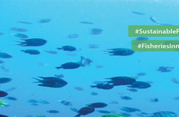 WorldFish @ external events: FAO International Symposium on Fisheries Sustainability