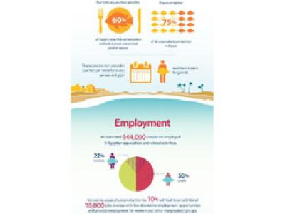 Fish for a food secure and prosperous Egypt