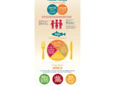 Fish for nutrition and security