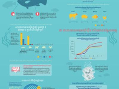 Tilapia: The plain truth (Khmer version)