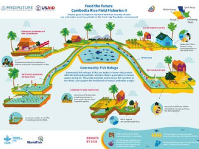 Feed the future. Cambodia Rice Field Fisheries II