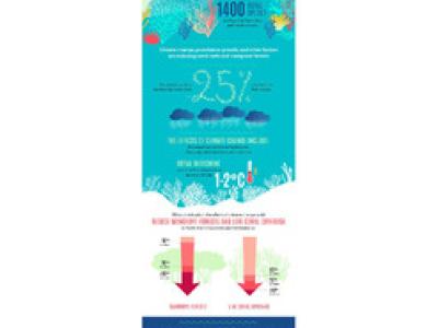The Pacific Islands: Climate change, coral and fragile coastal fisheries