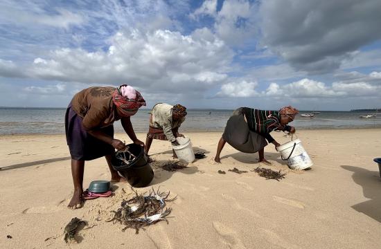 Sorting their harvest, women gleaners show their catch to traders—each selling individually, yet coming together to collectively negotiate prices because they know their power comes from their sisterhood. Photo by Sara Bonilla-Anariba, WorldFish