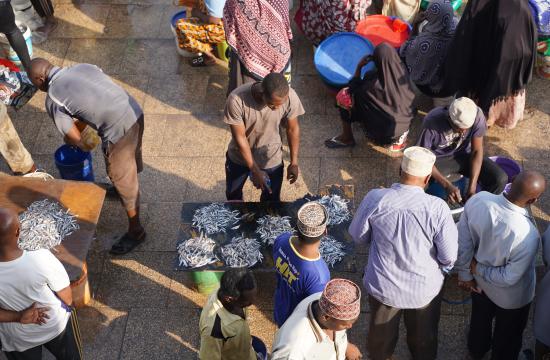 fish market in Zanzibar, Tanzania. Photo by Dilruba Sharmin, WorldFish