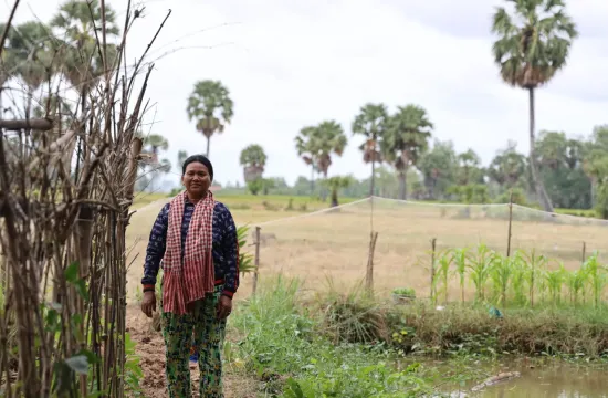 rice field system view with support from CGIAR Multifunctional Landscapes