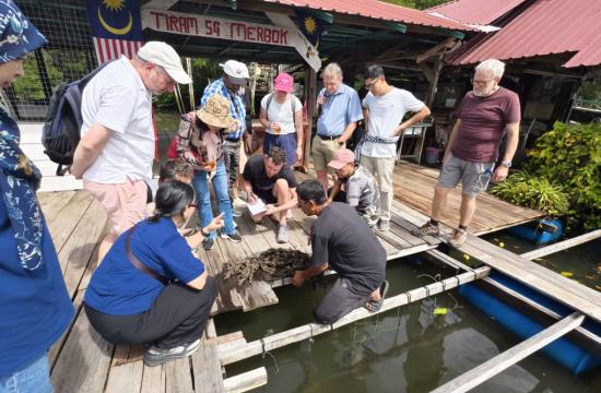WAVES project partners during a field visit to the Sungai Merbok oyster farm, discussing farming practices and industry challenges with local producers.