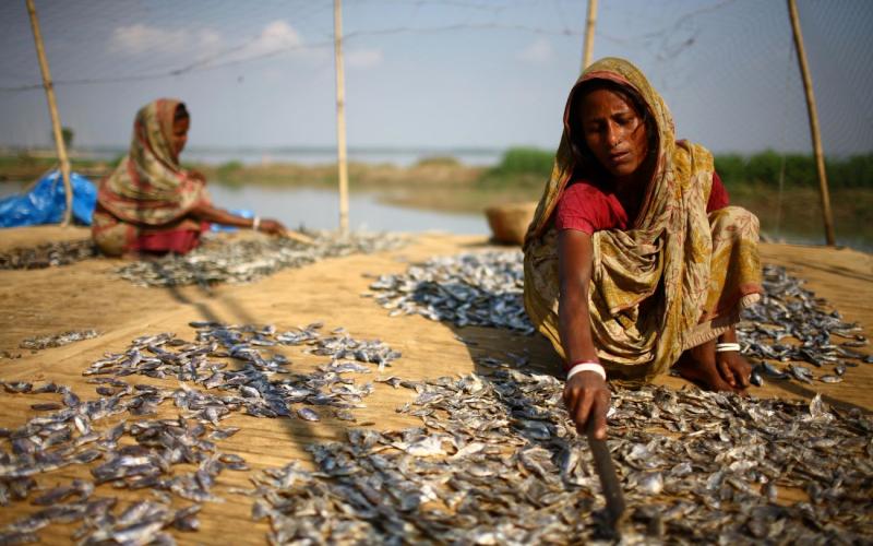 Women dry fish in Badurpur, Bangladesh. The fish will serve to improve household nutrition and will also be sold, providing a source of income. Source: IFAD