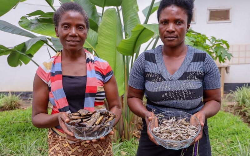 Fish farmers Agnes and Acinta pose with dried fish from their ponds in Luwingu, Zambia. Photo by Doina Huso.