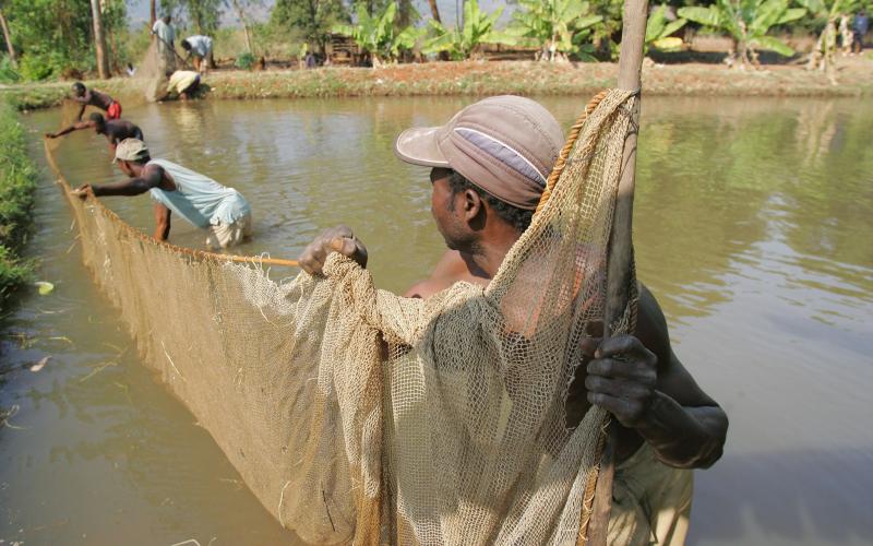 Fish farmers construct a pond in Malawi. Photo by Stevie Mann.