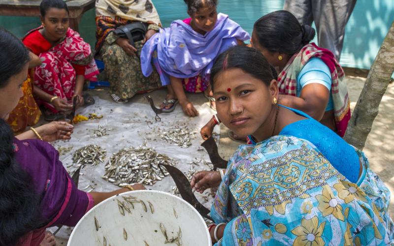 Women dry small fish in Bangladesh to extend their shelf life. Photo by Finn Thilsted.
