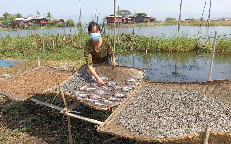 Burmese fish trader Daw Lae Lae Soe poses with her dried fish. Photo by Kyaw Moe Oo.