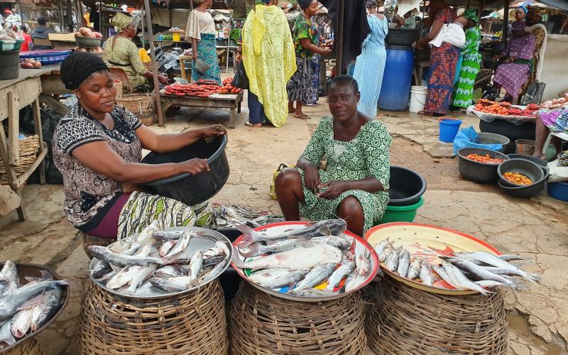 Marketing fish in a local market in Lagos, Nigeria. Photo by Nhuong Tran.