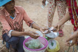 Selling fish from the rice fields in a market in Battambang. Ang Chork. Moung District. Battambang. Photo by Fani Llauradó for WorldFish Cambodia, 2018.