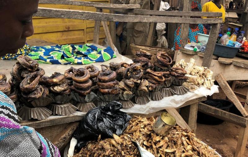 Retailer selling smoke-dried catfish and freshwater small pelagic fish, Nigeria. Photo by Brianna Bradley.