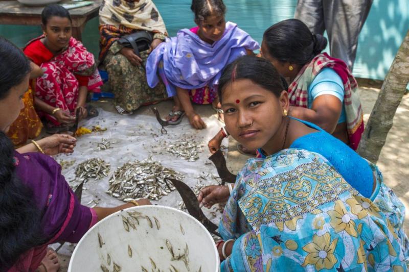 Women dry small fish in Bangladesh. Photo by Finn Thilsted.