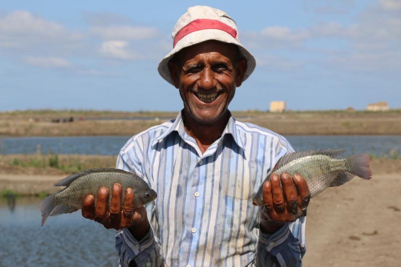 Fish farmer Samir Seliman Ali from Kafr El-Sheik in Egypt with some his tilapia. Kate Bevitt, 2016.