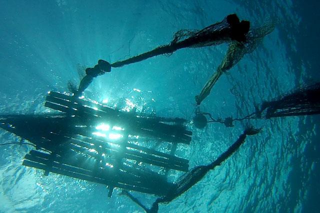 A Fish Aggregating Device (FAD) in Langalanga Lagoon, Solomon Islands.