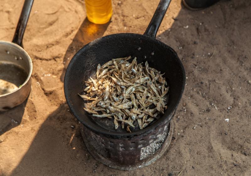 Dried fish, Barotse Floodplain, Zambia. Photo by Clayton Smith.